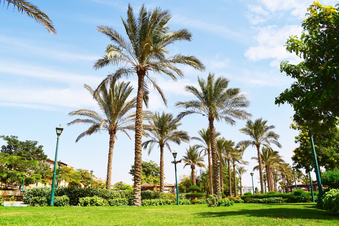 نادى نقابة المهندسين اكتوبر