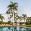 Casadepalm