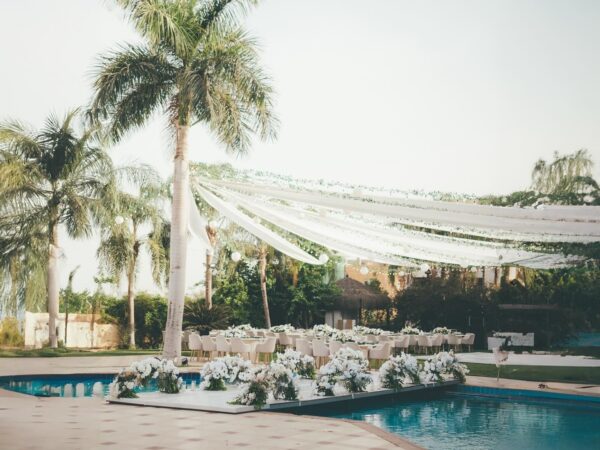 Casadepalm