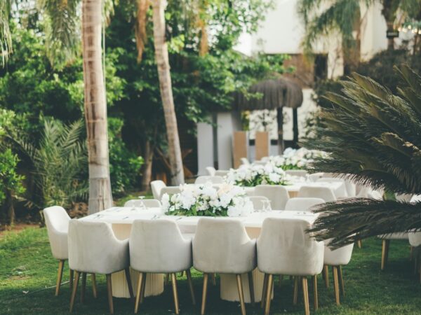 Casadepalm