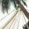 Casadepalm