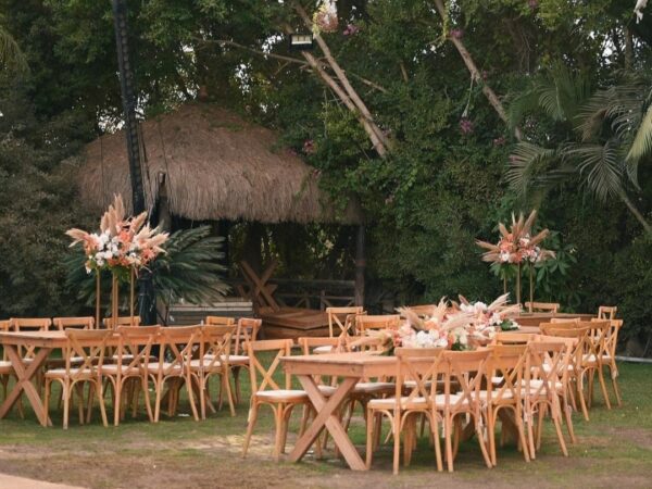 Casadepalm