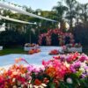 Casadepalm