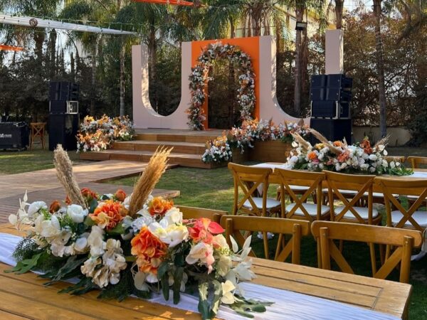Casadepalm
