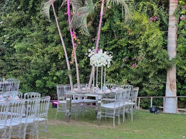 Casadepalm