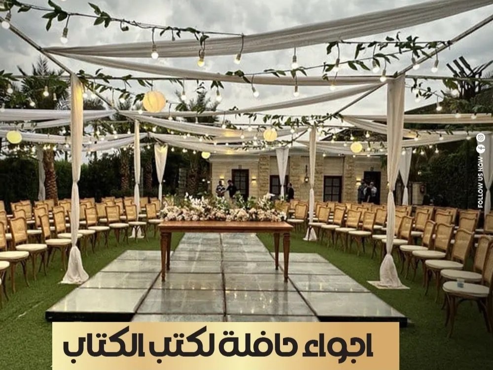 ديفا العبد