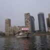 Gardeniaboat