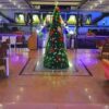 NileLotusCruise