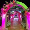 Orchid City Asyut