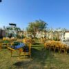 Orchid City Asyut