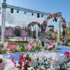 Orchid City Asyut
