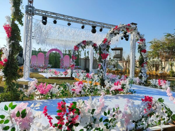 Orchid City Asyut