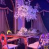 Royalorchid
