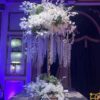 Royalorchid