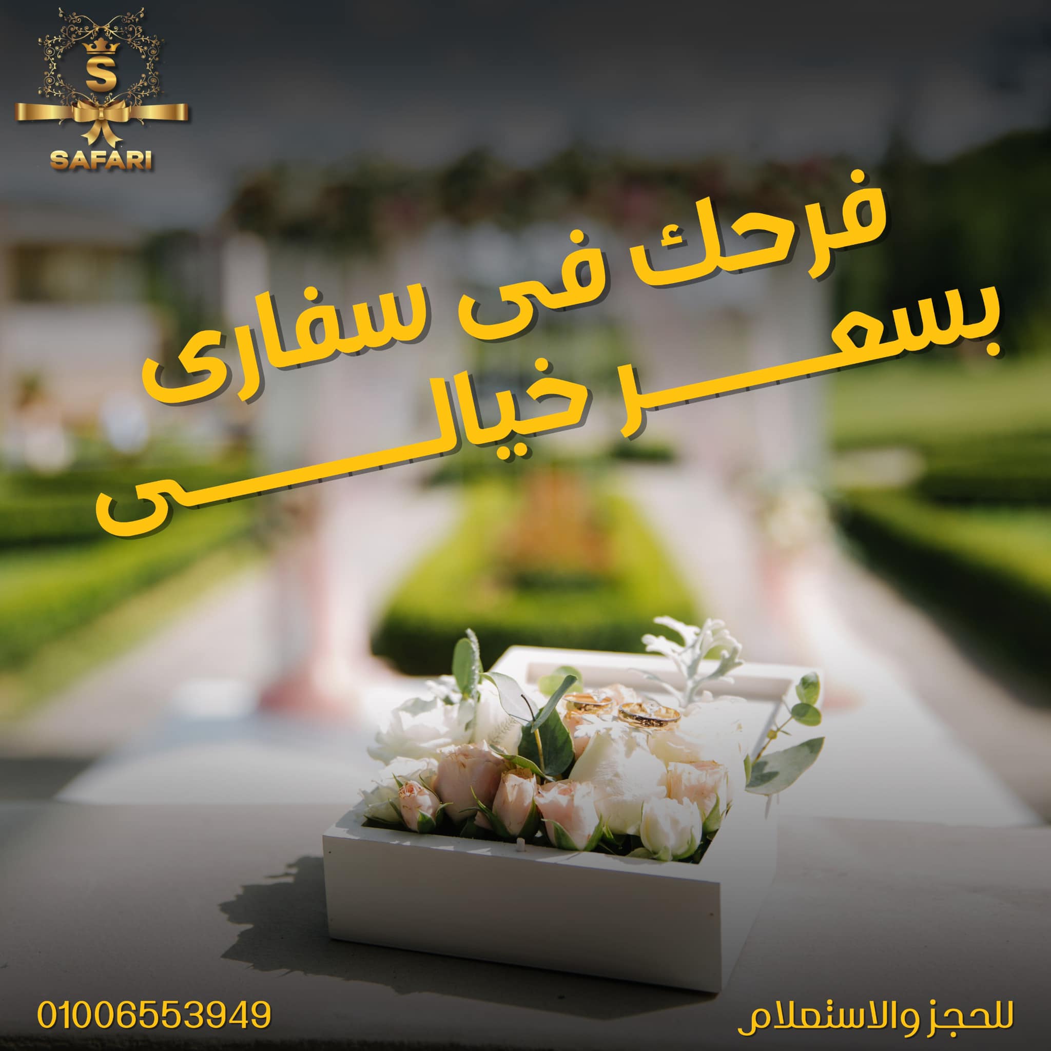 سفاري