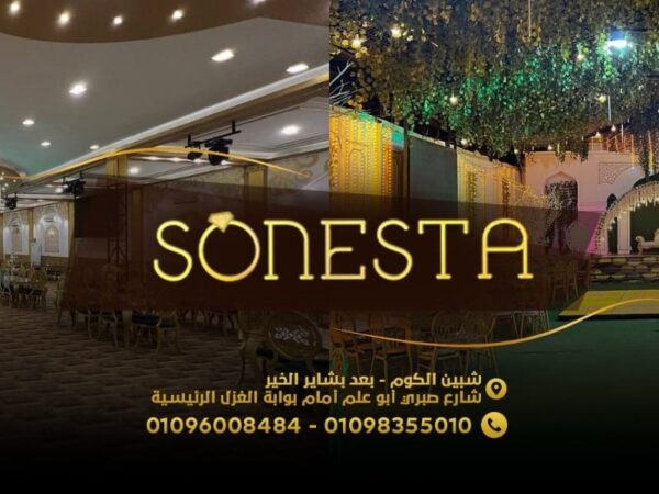 Sonstaalmanufia