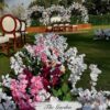 Thegardenvenue