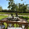 Thegardenvenue