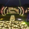 قاعة تيوليب
