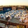 فندق ميريتا العاشر من رمضان