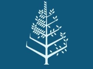 فندق فور سيزونز الإسكندرية