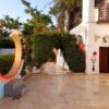 قاعه دار مكي للافراح