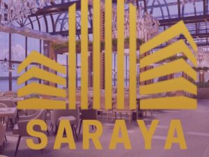 NewSarayaDamietta
