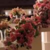 Alqasrmuscat