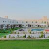 greenoasis