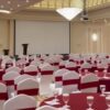 mercuremuscat