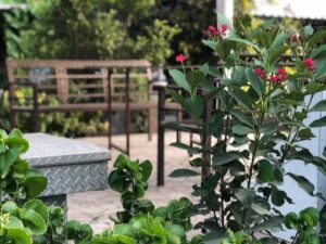 استراحة تونس الصغيره في صحار