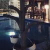 استراحة تونس الصغيره في صحار
