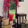 استراحه النسرين في صحار