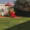 استراحة أزهار الخزامى حائل