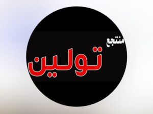 شاليه تولين الفندقي حائل
