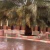 منتجع الغريس حائل