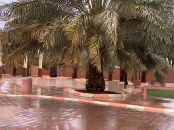 منتجع الغريس حائل