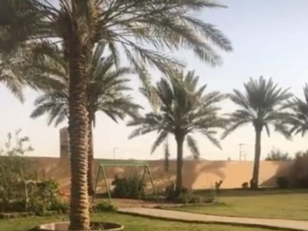 منتجع حبيبه حائل