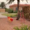 منتجع حبيبه حائل