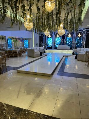 قصر احتفالات الإليزيه - 4