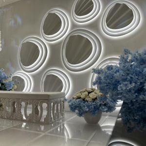 قاعة ريجنسي قاعة VIP - 6