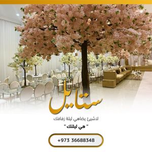 قاعة ستايل صدد - 4