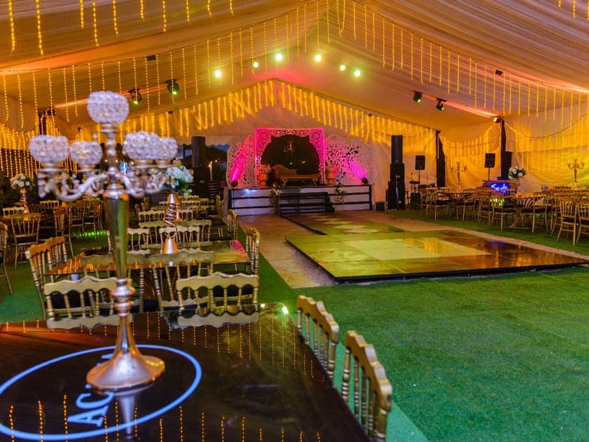 اكاسيا بورسعيد