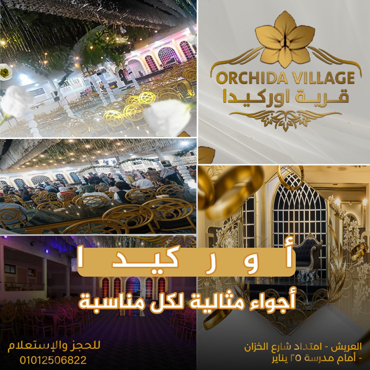 قاعة قرية أوركيدا لعريش