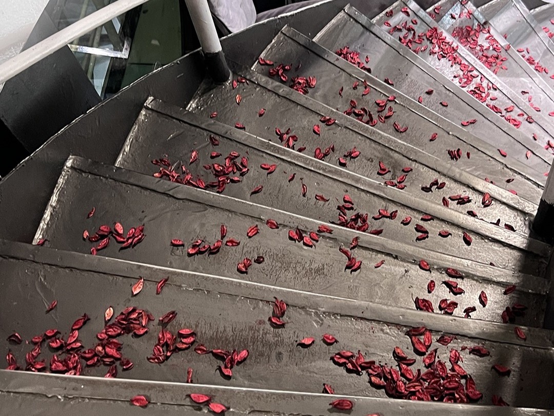 love story yacht - 9