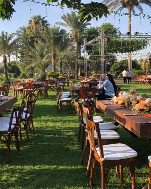 فيري جاردن دريم لاند - 7