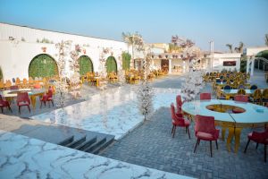 قاعة ياقوت دمنهور - 9