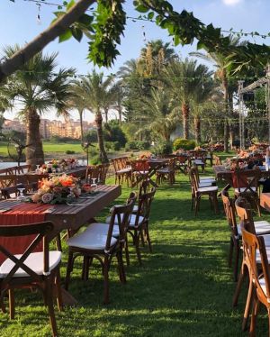 فيري جاردن دريم لاند - 12