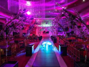 قاعة الماسة الاسماعيلية - 9