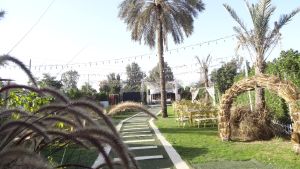 قاعة رويال بلازا المنوفية - 7